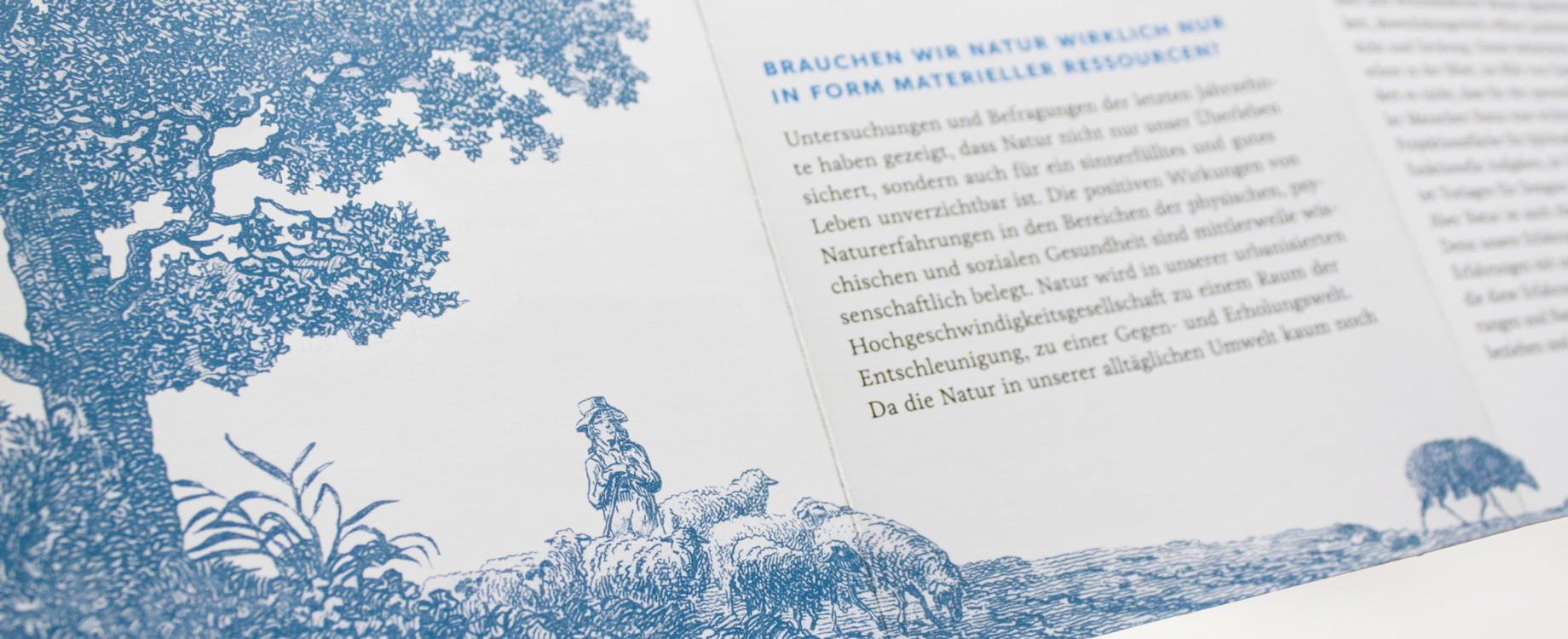 Sehnsuchtsraum Natur · Ausstellungsflyer (Detail)